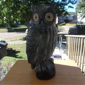 Vintage Elegant Black Owl